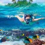 Safari blue day tour - Exploring the Mangrove Lagoon and Baobab Trees