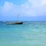 Safari Blue Full Day Trip - The Itinerary: What To Expect from Start to Finish