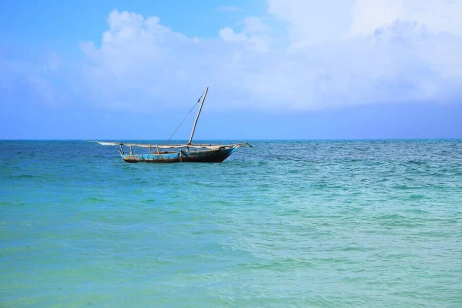 Safari Blue Full Day Trip - The Itinerary: What To Expect from Start to Finish
