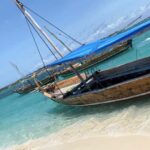 Safari blue Zanzibar by sailing dhow trip - Who This Tour Is For