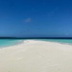 SAFARI BLUE ZANZIBAR SANDBANK AND SNORKELING TOUR - A Comprehensive Look at the Safari Blue Zanzibar Tour