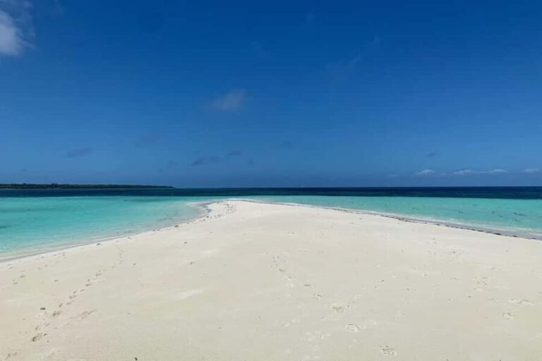 SAFARI BLUE ZANZIBAR SANDBANK AND SNORKELING TOUR - A Comprehensive Look at the Safari Blue Zanzibar Tour