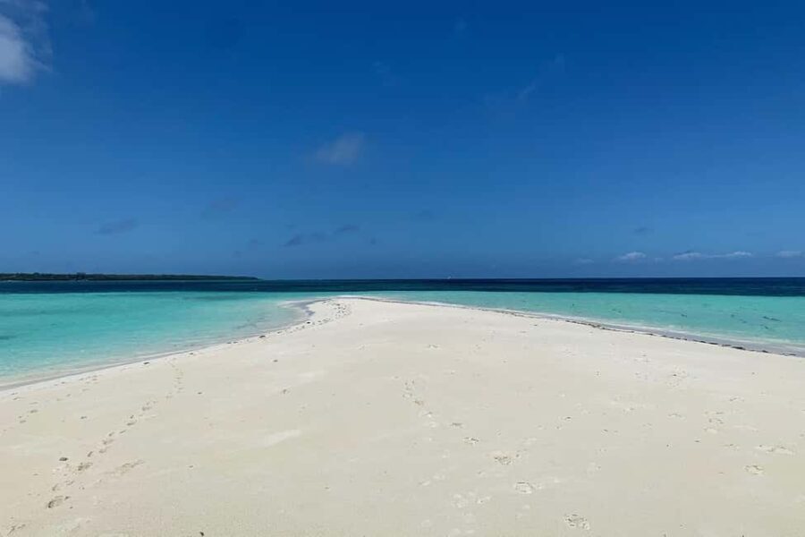 SAFARI BLUE ZANZIBAR SANDBANK AND SNORKELING TOUR - A Comprehensive Look at the Safari Blue Zanzibar Tour