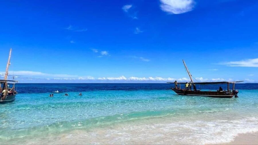 Safari Blue Zanzibar: Snorkeling Adventure with Lunch - An In-Depth Look at the Safari Blue Experience