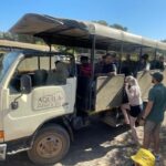 SAFARI- Cape Town Aquila Big 5 & Lunch (Hotel Pickup incl.) - What Makes This Tour Special