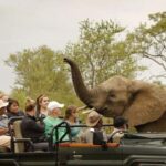 Safari Game Drive in Zambezi national park - What to Expect from the Safari Game Drive