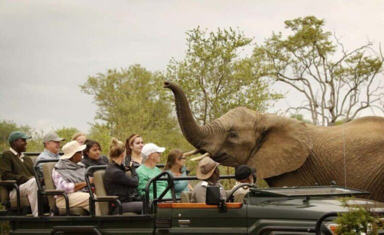 Safari Game Drive in Zambezi national park - What to Expect from the Safari Game Drive