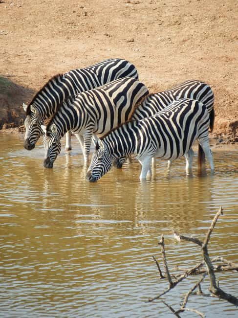 Safari in the Bandia reserve and boat trip on the Somone lagoon - Practical Details: Transportation, Cost, and Flexibility