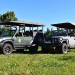 Safari into Schotia Full Day Tour - The Itinerary Breakdown: What to Expect
