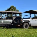 Safari into Schotia Half Day Tour - Why This Tour Offers Great Value