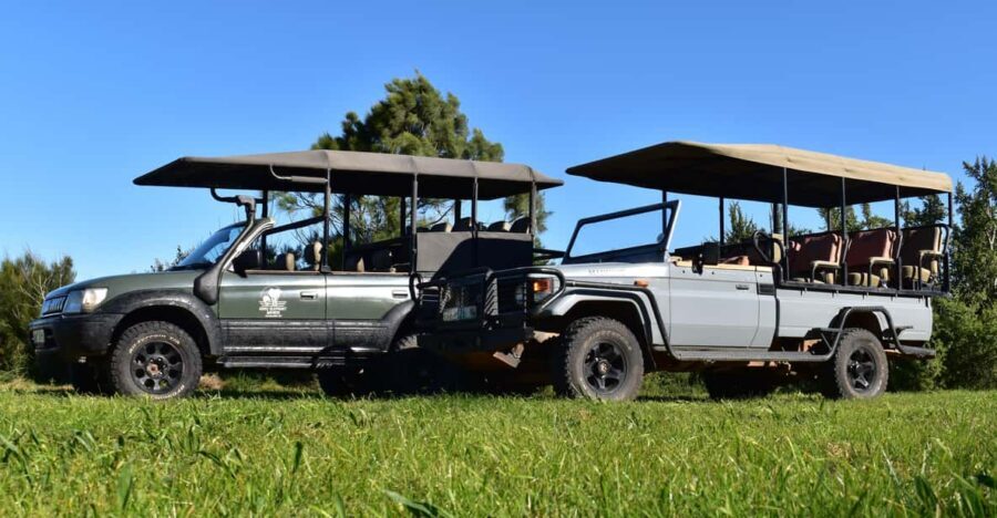 Safari into Schotia Half Day Tour - Why This Tour Offers Great Value