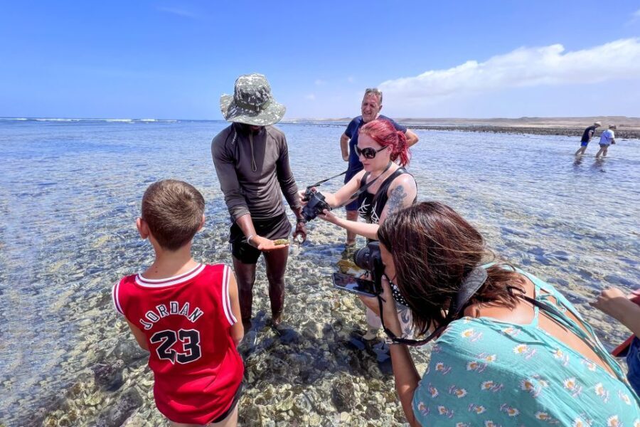 Sal Discovery: A Guided Small Group Island Tour - Exploring Sal with a Local Twist