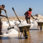 Sal: Full-Day Trip Around the Island with Lunch - The Heart of the Island: Espargos and Palmeira