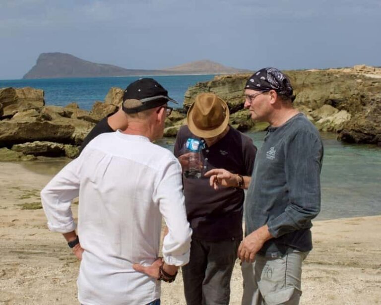 Sal Island in a Group - A Full Day Exploring the Highlights - What to Expect on the Tour: A Detailed Breakdown