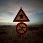 Sal Rei: Boa Vista Private Island Half-Day Tour - The North Route: Insight into Culture and Landmarks
