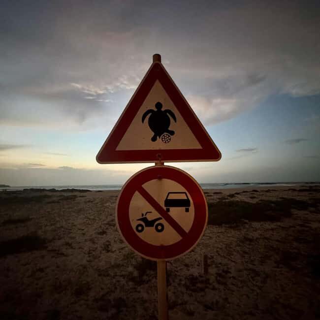 Sal Rei: Boa Vista Private Island Half-Day Tour - The North Route: Insight into Culture and Landmarks