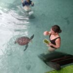 SALAAM CAVE: Swim with turtles & Dine at The Rock Restaurant - Dining at The Rock Restaurant: A Culinary Icon