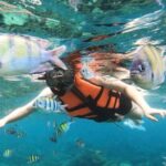 Salalah: Discover Mirbat's Snorkeling Paradise Guided Tour - What’s Included and What to Bring