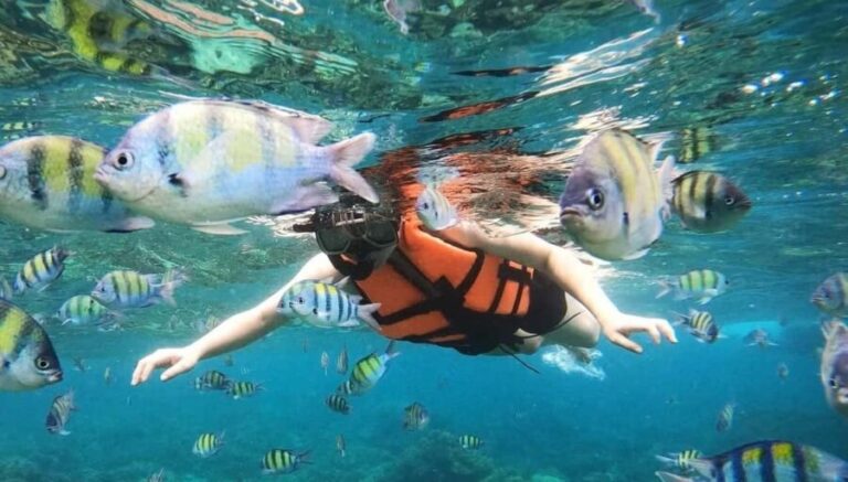 Salalah: Discover Mirbat's Snorkeling Paradise Guided Tour - What’s Included and What to Bring