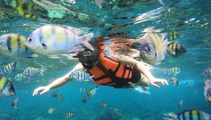 Salalah: Discover Mirbat's Snorkeling Paradise Guided Tour - What’s Included and What to Bring