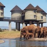 Saltlick Overnight Safari from Mombasa/Diani - Who Should Consider This Safari?