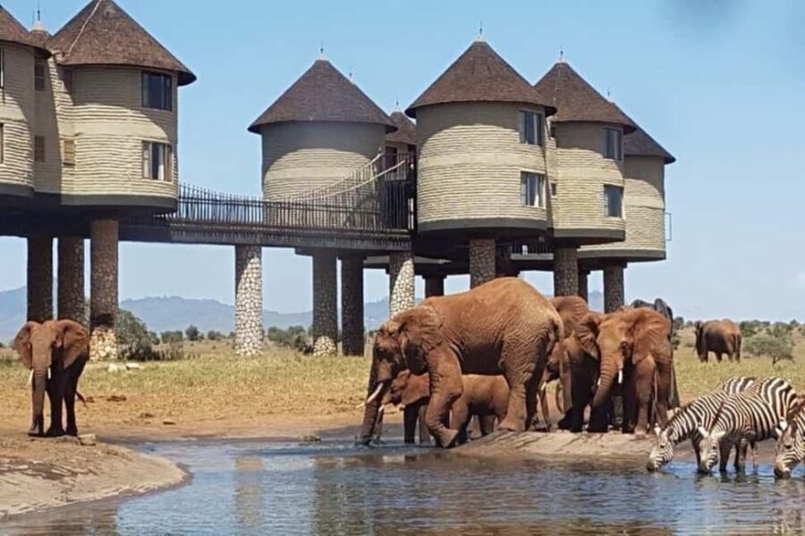 Saltlick Overnight Safari from Mombasa/Diani - Who Should Consider This Safari?