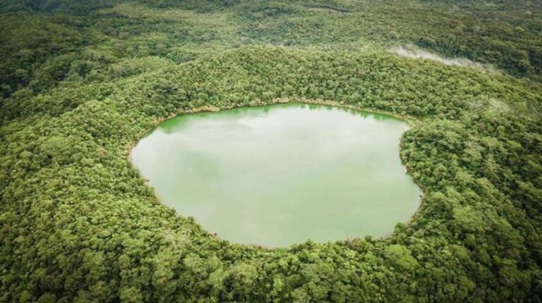 Samoa: Lake Lanoto'o Volcanic Crater Lake Hike & Swim - What to Expect from This Samoa Adventure