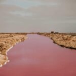 Sandwich Harbour 4x4 Guided Tour - Is It Worth the Price?