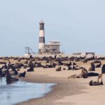 Sandwich Harbour Full Day 4x4 Adventure - Practical Details and Tips