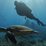 Santa Maria: Advance Open Water Diver - PADI or SSI Course - Practical Details & Tips