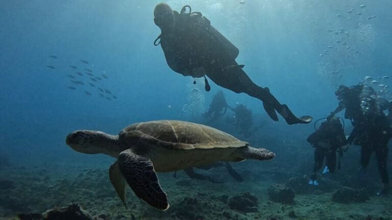 Santa Maria: Advance Open Water Diver - PADI or SSI Course - Practical Details & Tips