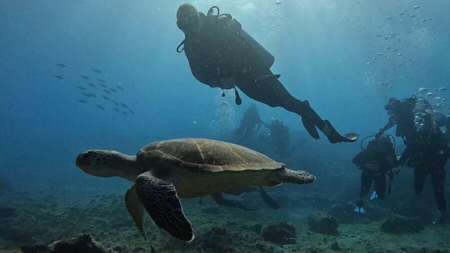 Santa Maria: Advance Open Water Diver - PADI or SSI Course - Practical Details & Tips