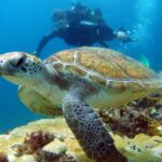 Santa Maria: Discover Scuba Diving - The Itinerary: Step-by-Step