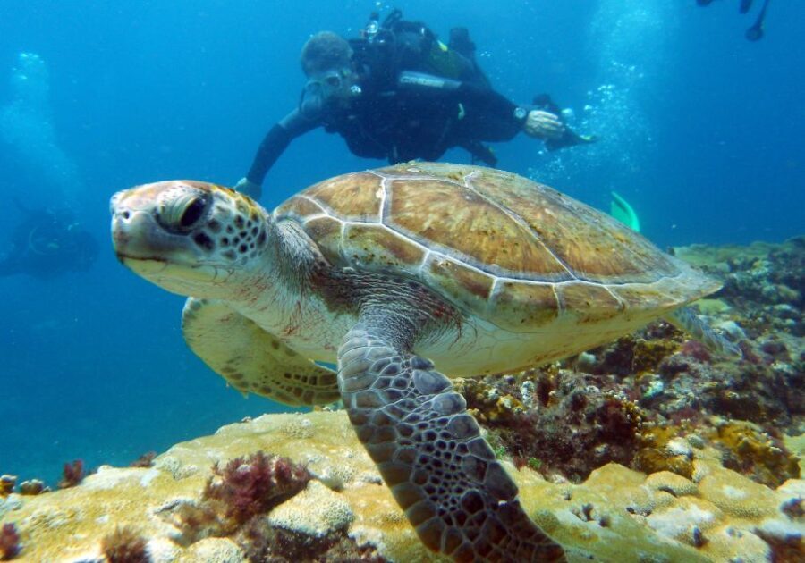 Santa Maria: Discover Scuba Diving - The Itinerary: Step-by-Step