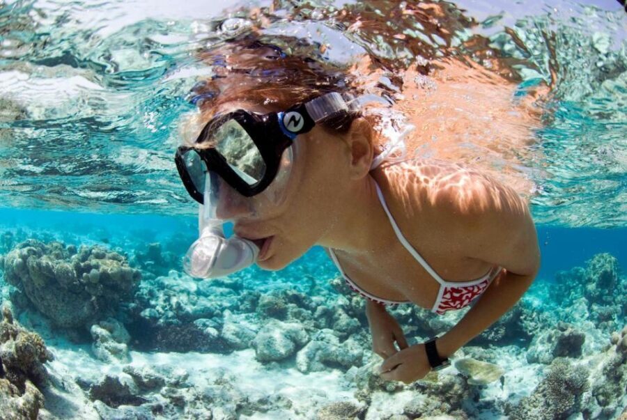Santa Maria: Guided Snorkeling Shipwreck and Reef Tour - A Closer Look at the Snorkeling Tour