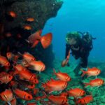 Santa Maria: Review Diving Course with 2 Guided Dives - Why This Tour Offers Great Value