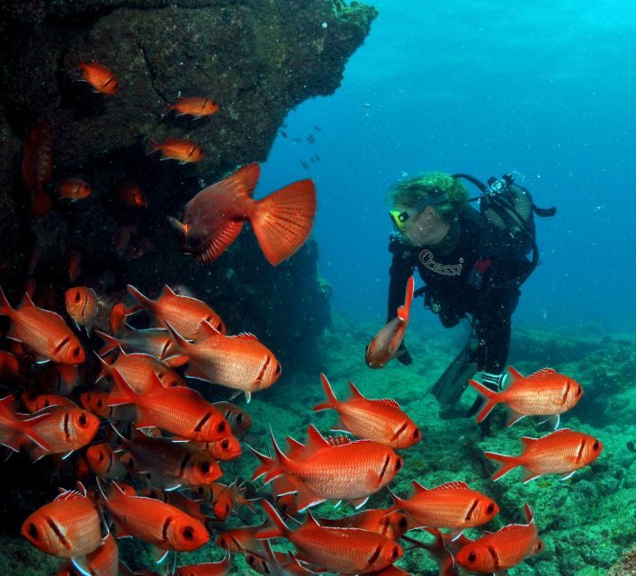 Santa Maria: Review Diving Course with 2 Guided Dives - Why This Tour Offers Great Value