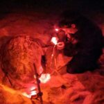 Santa Maria: Sea Turtle Watching Experience on Sal Island - The Practicalities: What to Know Before Booking