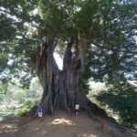 Santiago Island Tour - A Detailed Itinerary Breakdown