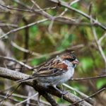 Santiago: Monte Tchota Natural Park to Pico d'Antónia Hike - What Sets This Tour Apart