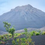 Sao Filipe: Coffee Plantation and Natural Pools Day Trip - Value and Practicalities