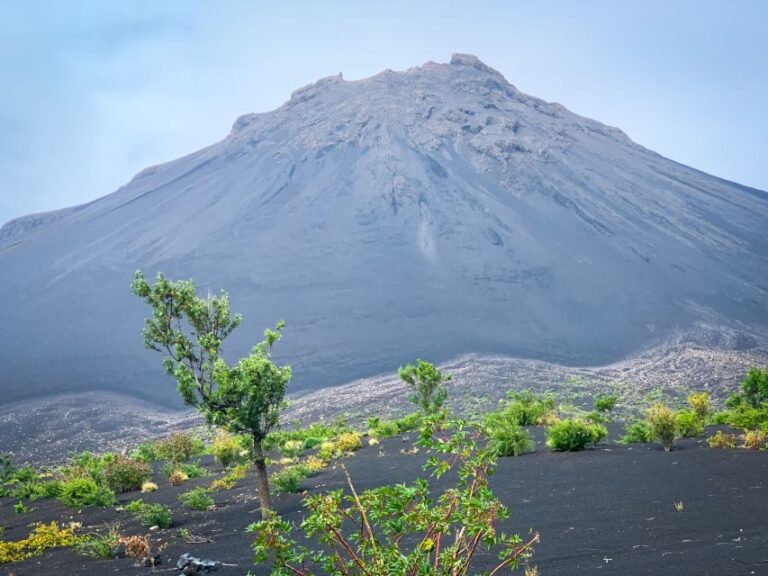 Sao Filipe: Coffee Plantation and Natural Pools Day Trip - Value and Practicalities