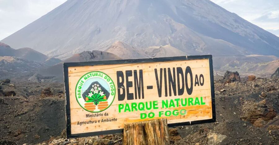 São Filipe: Fogo Volcano with Wine and Cheese Tasting - What the Reviews Say
