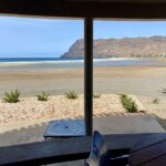 São Pedro experience (hiking & snorkel with turtles) - Pricing and Value