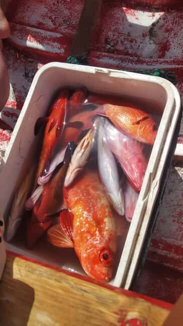 São Pedro Fishing Tour - What’s Included and What to Bring