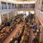 São Vicente Half Day - An Overview of the São Vicente Half Day Tour