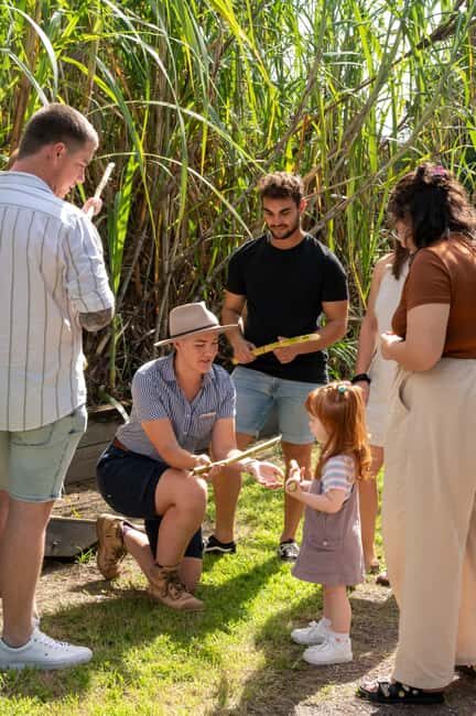 Sarina: Guided Tour of the Sarina Sugar Shed with Tasting - The Sum Up