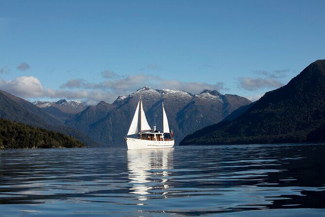 Scenic Cruise & Guided Walk on Historic Motor Yacht Lake Te Anau - Who Is This Tour Best Suited For?