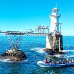 Scuba Dive in Cape Town: 2 Dives for certified divers - What’s Included and What You Should Know
