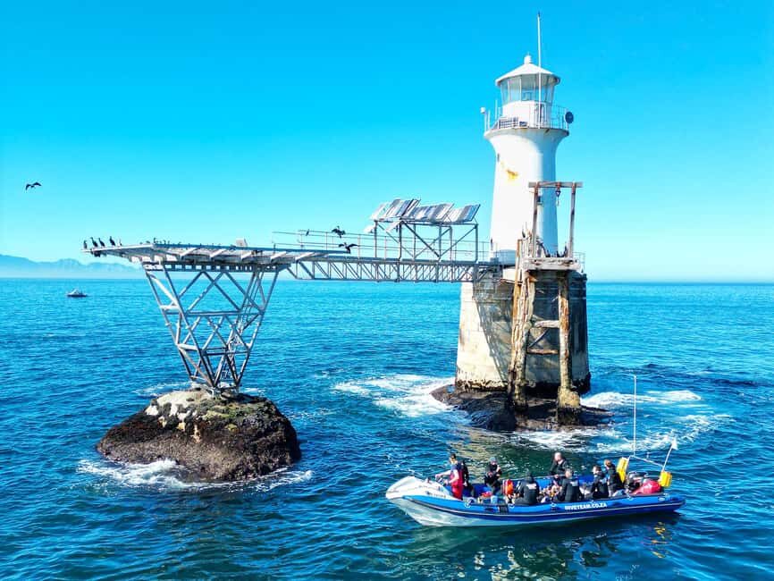 Scuba Dive in Cape Town: 2 Dives for certified divers - What’s Included and What You Should Know